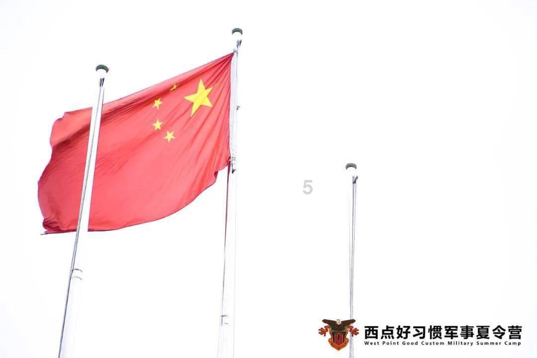 张店优化产业布局再添“新力量”